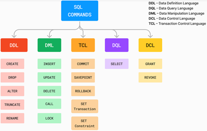 What is SQL & How's it Different from DBMS 1